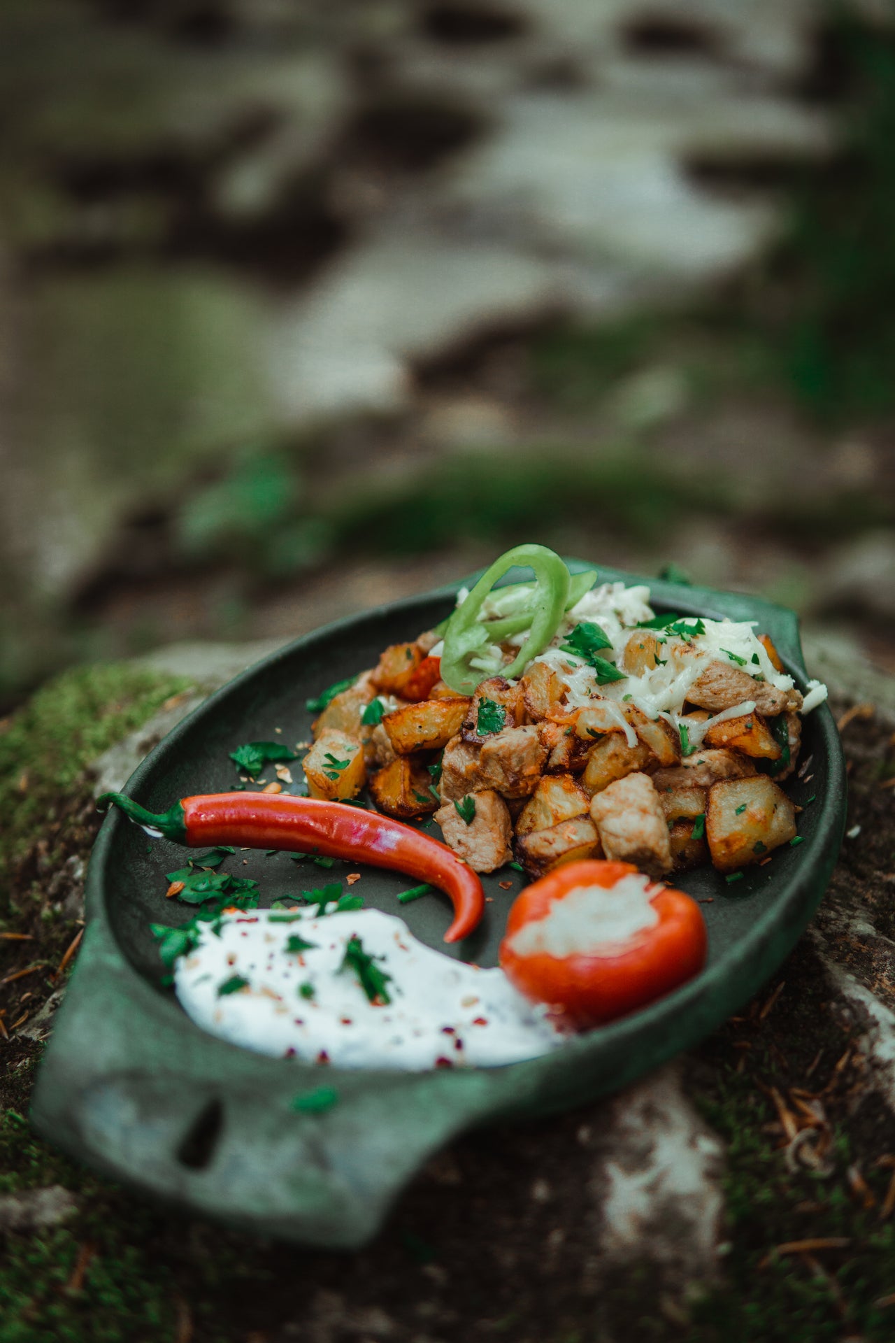 Pork and Potato Ragout Recipe