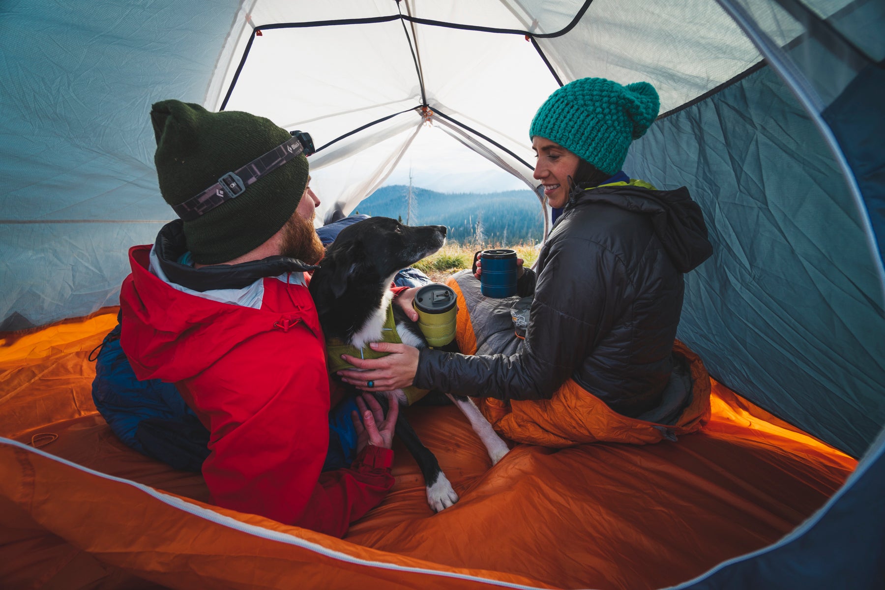 8 Simple Tips For Camping With Your Dog