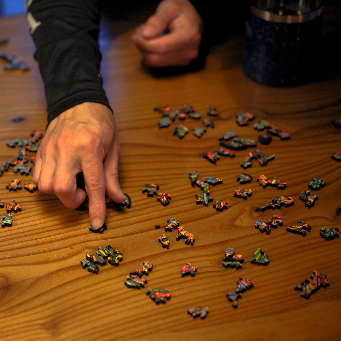 Retro Trailer Wood Puzzle
